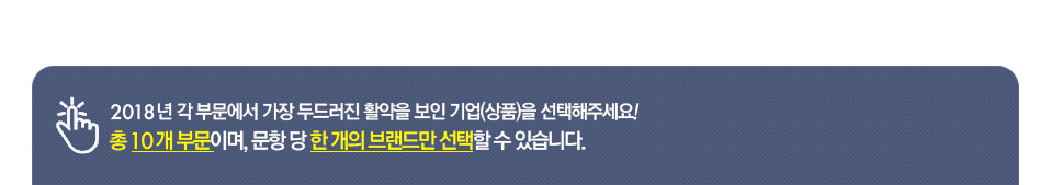 2018년 각 부문에서 가장 두드러진 활약을 보인 기업(상품)을 선택해주세요! 총 10개 부문이며, 문항 당 한 개의 브랜드만 선택할 수 있습니다.