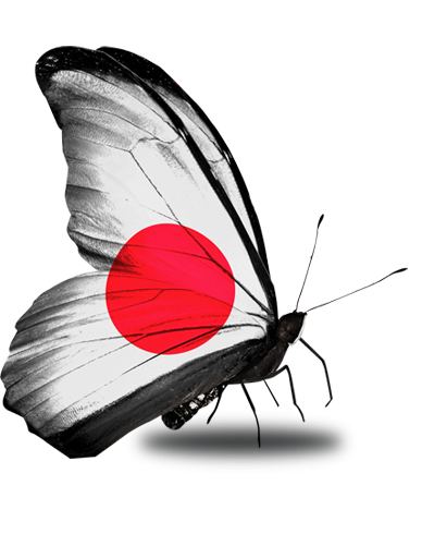 일본국기 나비