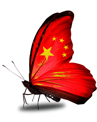 중국국기 나비